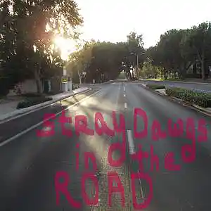 Picture for song 'Too Far to Walk' by artist 'The Stray Dawgs'