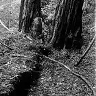 Picture for song 'Bad's So Good' by artist 'Tremor (AUS)'