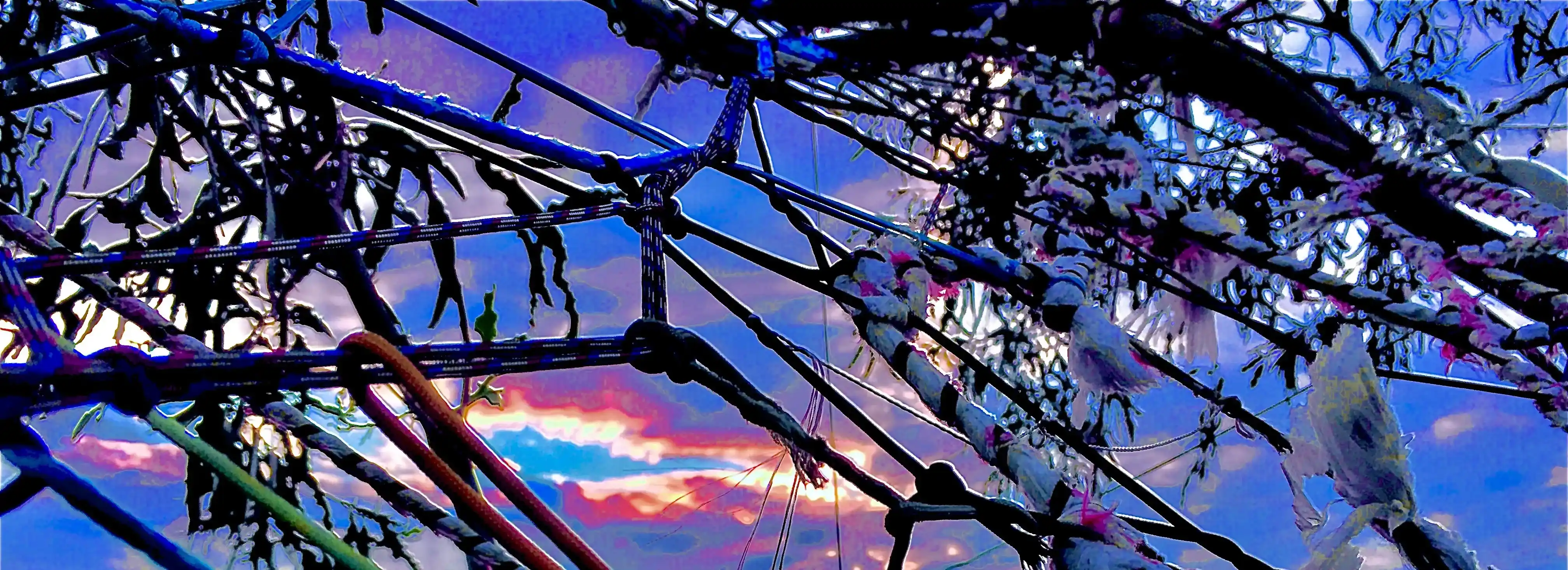 cover pic