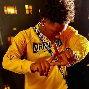 Picture for song 'White Owl' by artist 'Brentin Davis Beats'