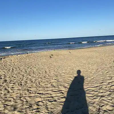 Picture for song 'Shawty we vibe' by artist 'Corey Purvis'