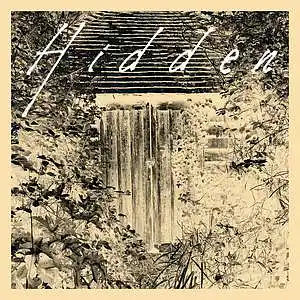 Picture for song '[Free] Future x Denzel Curry Type Beat - Hidden' by artist 'DFS music'