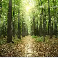 Picture for song 'Our Place In The Sun' by artist 'Doug Murphy'