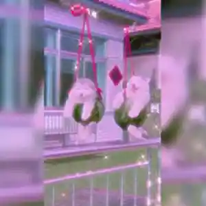 Picture for song 'FALSE PROPHETS (BUY 1 GET 4 FREE)' by artist 'DreamBigRecords'