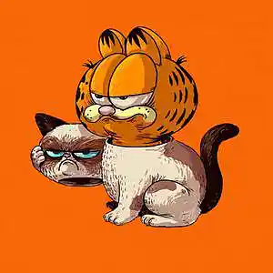 Picture for song '''Cat Nip''' by artist 'Daily Drill Beats'