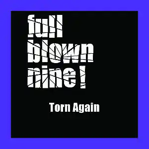 Picture for song 'Torn Again' by artist 'Full Blown Nine'