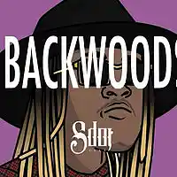 Picture for song 'Backwoods (FREE DL + BUY 1 GET 1 FREE) ' by artist 'SdotFire'