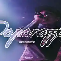 Picture for song 'Paparazzi' by artist 'SteezyOnTheBeat'
