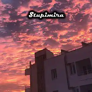 Picture for song 'Romantic' by artist 'Stupimira'