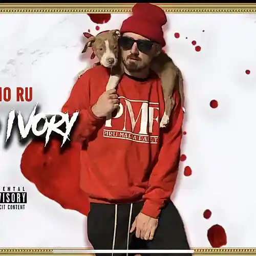 cover pic