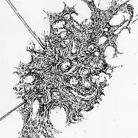 Picture for song 'See if it flies' by artist 'Walter de Jong'