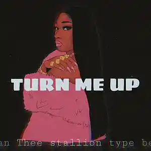 Picture for song 'Megan Thee stallion club banger type beat 180BPM' by artist 'Chris J Beats'