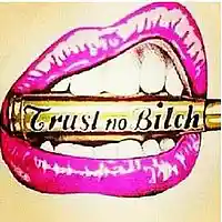 Picture for song 'Cant Trust a Bitch Instrumental ' by artist 'Kin Folk Beats'