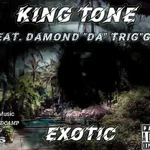 Picture for song 'King-Tone-Ft-Damond-da-triGga-Ex (1)' by artist 'Kingtone3100'