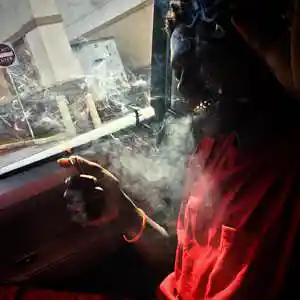 Picture for song 'Indica (Buy 1 Get 1 Free)' by artist 'Lizard Beatz'
