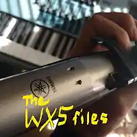 Picture for song ' In the End Angels' by artist 'Michael Fanning'