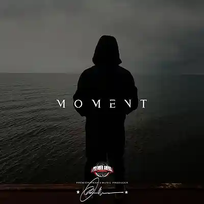 Picture for song 'MOMENT (with Hook)' by artist 'PREMIERARENA'