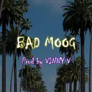Picture for song '"Bad Moog"- The GAME X DR DRE X NIPSEY HUSTLE TYPE' by artist 'VINNY V GOT THA SAUCE'