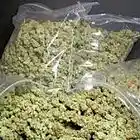 Picture for song 'LoudPack' by artist 'Willuminati Beats'