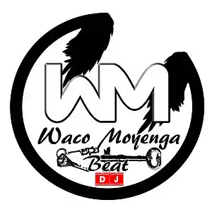 Picture for song 'TrapTon - DJ Waco Beat' by artist 'DJ Waco Beat'