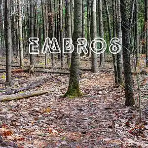 Picture for song 'Paper' by artist 'Embros'