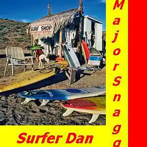 Picture for song 'Surfer Dan' by artist 'Major Snagg'