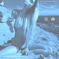Picture for song 'She Gets High On The Beach' by artist 'Mr.Kooman'