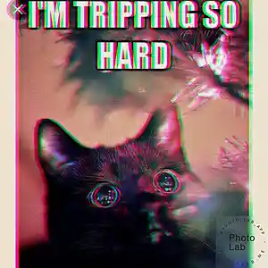 Picture for song 'im trippin' by artist 'Oson'