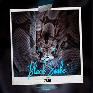 Picture for song 'Trap beat- 'Black snake' 140 bpm' by artist 'past panica'