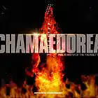 Picture for song 'Chamaedorea (Kustom)' by artist 'The TrendsetterZ'