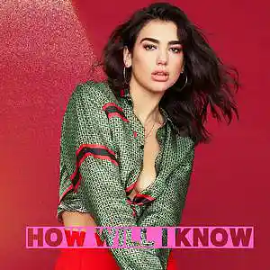 Picture for song 'How will I know (Dua Lipa)' by artist 'Zula music'