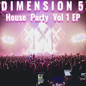 Picture for song 'Mega House Party (Deep House Megamix)' by artist 'Dimension 5'