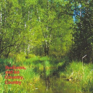 Picture for song 'Latin Country' by artist 'lkb(US)'