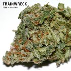 Picture for song 'Trainwreck' by artist '219'