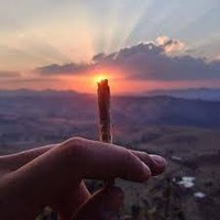 Picture for song 'Socialize' by artist 'Art Official and SoulForce Entertainment'