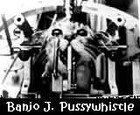 Picture for song 'Bisketface' by artist 'Banjo Pussywhistle'