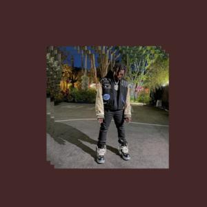 Picture for song 'Loot (176 bpm, G#m) Don Toliver x 88GLAM Type Beat' by artist 'beats by NTZ'