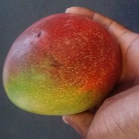 Picture for song 'soulpop' by artist 'Bsreelbeatzzz'