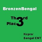 Picture for song '(Clean) DIFFERENT DAY' by artist 'Bronze Bengal'