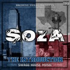 Picture for song 'Fly Guy - Soza Ft. Tree Dogg' by artist 'BrownyBeats TX'