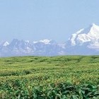 Picture for song 'Tibetan spirit 6 (Himalaya)' by artist 'Christian Faivre'