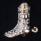 Picture for song 'RHINESTONE COWBOY.mp3' by artist 'Daddy G'
