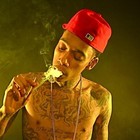 Picture for song 'the zig zag man.MP3 tagless lease $19.95' by artist 'db koopa'