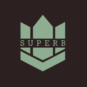 Picture for song 'Superb (Mellow Trap Type Beat) - Devezin.com' by artist 'Devezin'