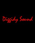 Picture for song 'Diggidy Time' by artist 'Diggidy Sound'