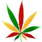 Picture for song 'Yerba Buena' by artist 'Dj-NativoSativo'