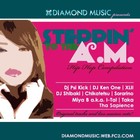 Picture for song 'Diamond Music feat. Julian a.k.a Chikatetsu' by artist 'Dj Psi Kick'