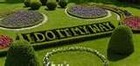 Picture for song 'Im Gonna Do It My Way' by artist 'D-WiLL-Philly Hottest'