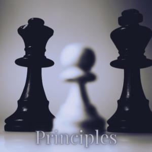 Picture for song 'Principles' by artist 'EaselDBeats'