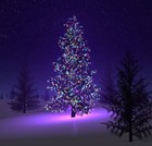 Picture for song 'Nu braum jolin birtast (#46)' by artist 'Erling Gunnarsson'